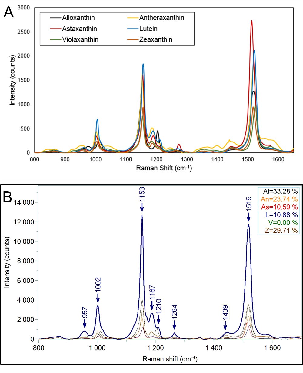 Figure 2: CLS analysis of Raman spectra of carotenoids. (A) Spectra library of pure components prepared with pure carotenoid standards. (B) CLS fitting of complex spectra of algae samples with the 6 carotenoid standards loaded in CLS library. (Inset) Relative amount of the 6 carotenoids obtained by CLS decomposition.
