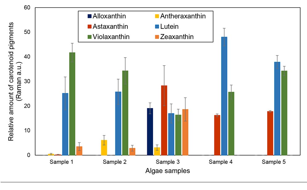 Figure 4: Production level of six carotenoids in live algae cultures as determined by Raman spectroscopy with CLS spectra analysis. Each bar represent mean (n=10) with standard error.