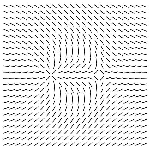 Figure 3: Domain type pattern of a system. Double arrows indicate average orientation within domains. Black dots correspond to topological defects where orientational order is not uniquely defined. In bulk, such a configuration gradually transforms into a defectless state. A possible final configuration is shown in Figure 1a. The domain growth is enabled via the annihilation of pairs {defect, antidefect}.