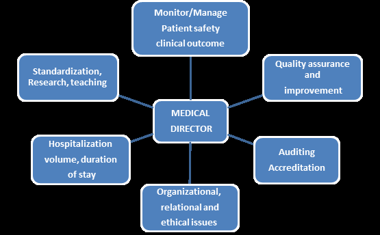 Figure 1: Role of the medical director and related managerial and organizational factors.