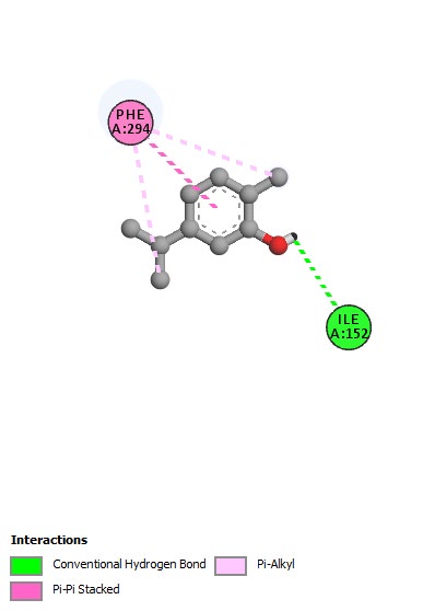 Figure 2: Interaction of carvacrol with 3C-like protease of SARS-CoV-2. The protease is considered a prime target to develop inhibitory drugs against the virus. Only a weak interaction of carvacrol is noted with two amino acid residues Ile152 and Phe294 of the protease.