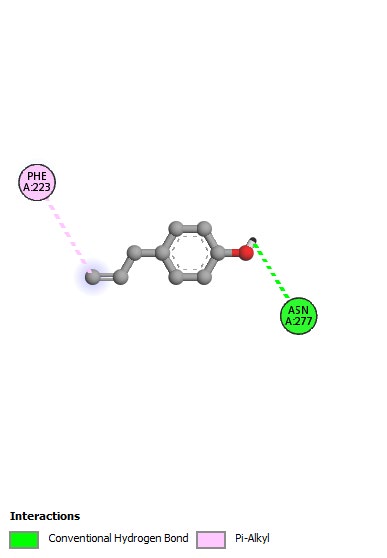 Figure 3: Interaction of chavicol with 3C-like protease of SARS-CoV-2. Only a weak interaction of chavicol is noted with two amino acid residues Phe223 and Asn277 of the protease.