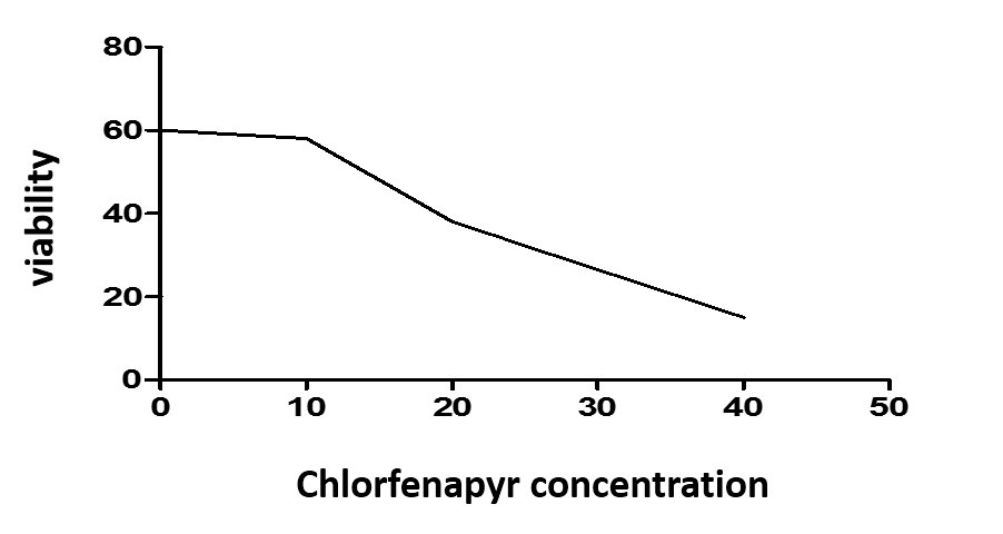 Figure 5: Showed that chlorfenpayr at high concentration induce lethal action to hepG2 cells