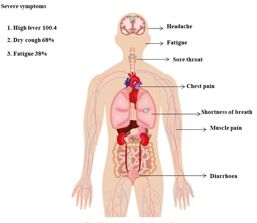 Figure 2: Symptoms of Corona Virus Disease.