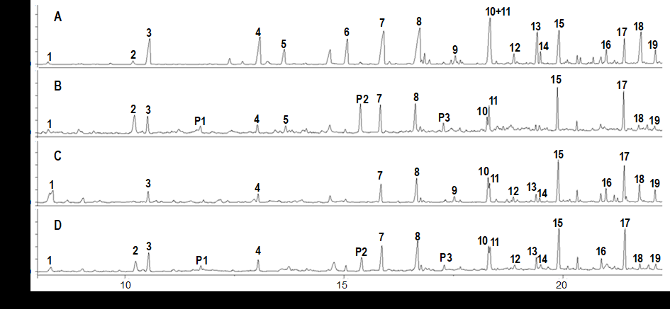 Figure 4: Partial pyrograms (total ion chromatograms) of A) Initial PB1000 sample, B) termite guts containing digested PB1000, C) birch wood sample, and D) termite guts containing digested birch wood. Peak numbers correspond to the following compounds. 1: 4-hydroxy-5,6-dihydropyran-2-one; 2: 4-methylphenol; 3: guaiacol; 4: 4-methylguaiacol; 5: 4-vinylphenol; 6: 4-ethylguaiacol; 7: 4-vinylguaiacol; 8: syringol; 9: vanillin; 10: 4-methylsyringol; 11: 4-allylguaiacaol; 12: acetoguaiacone; 13: 4-ethylsyringol; 14: guaiacylacetone; 15: 4-vinylsyringol; 16: syringaldehyde; 17: 4-allylsyringol; 18: acetosyringone; 19: syringylacetone. P1, P2, and P3 are peaks specific to termite gut samples and indicate proteins corresponding to phenylacetonitrile (P1), indole (P2), and methylindole (P3). Peak 2 could also originate from protein tyrosine residues.