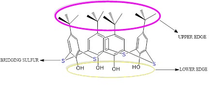 Figure 1: Modification of TCA.