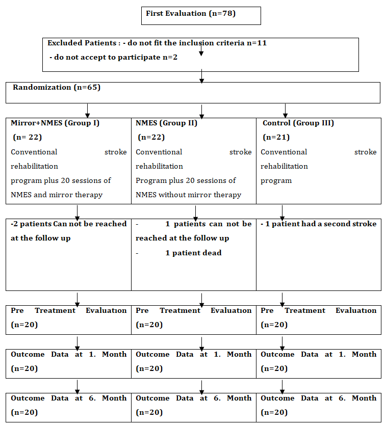 Figure 1: Flow diagram for randomized subject assignment in this study.