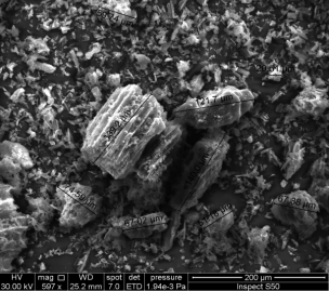 Figure 1: The SEM for the carbon (charcoal).