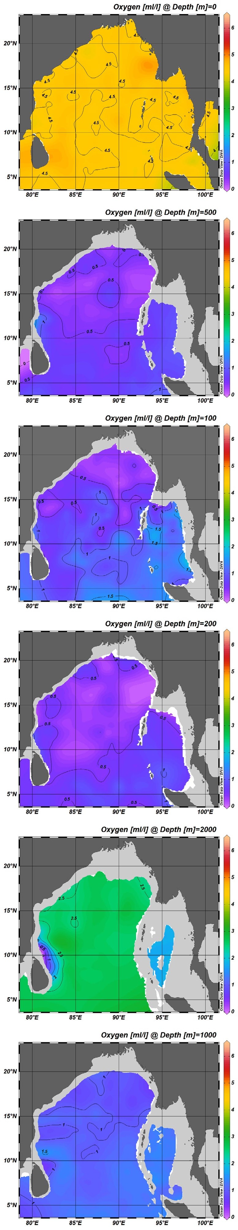 Figure 2: Dissolved Oxygen Distribution at Different Depths during Summer.