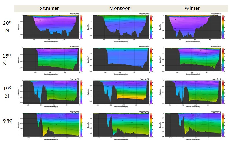 Figure 6: Seasonal distribution of DO at various sections of the Bay of Bengal.