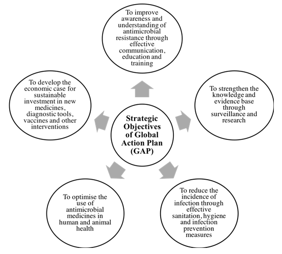 Figure 1: WHO Strategic Objectives of Global Action Plan on Antimicrobial Resistance.