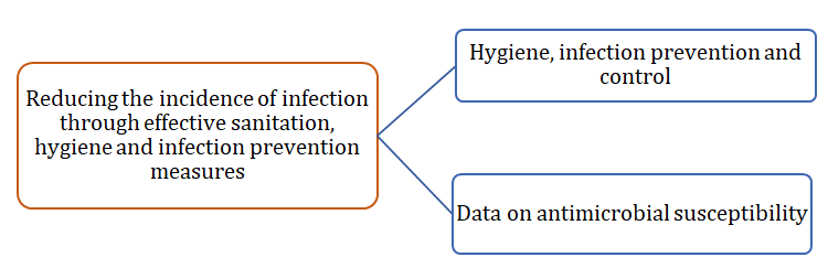 Figure 2: Components of objective 3 of GAP on Antimicrobial Resistance.