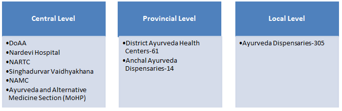Figure 1: Organization of Department of Ayurveda & Alternative Medicine.