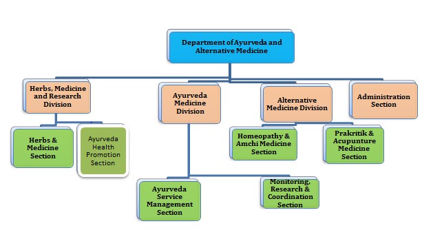 Figure 2: Department of Ayurveda and Alternative Medicine.