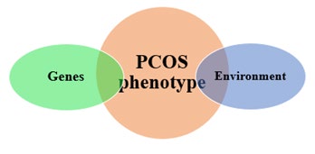 Figure 1: Pathophysiology of PCOS- gene Vs. environment.