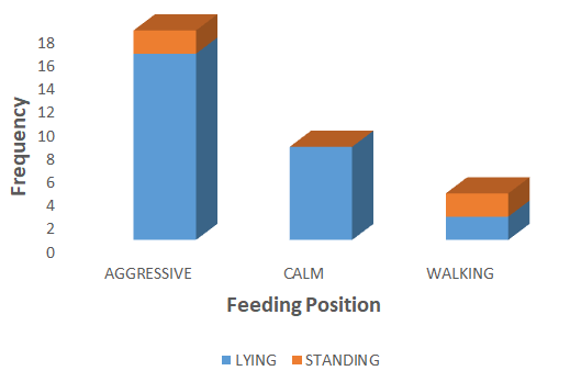 Figure 6: Feeding behavior and feeding position.