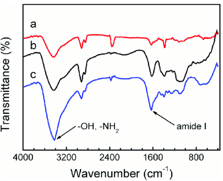 Figure 1: FTIR spectra of (a) GO, (b) alginate/gelatine and (c) SGGO nanocomposite aerogel.