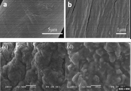 Figure 6: TEM images of (a) GO, (b) SGGO nanocomposites; and SEM images of (c) GO and (d) SGGO nanocomposites.