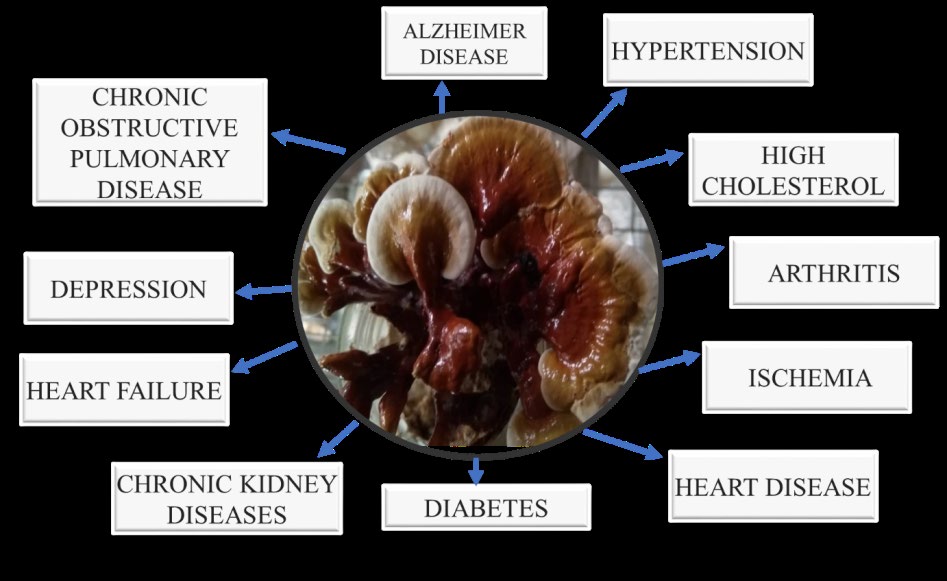 Figure 1: Diseases addressed by _Ganoderma_ mushroom for tackling the common health problems of the elderly.