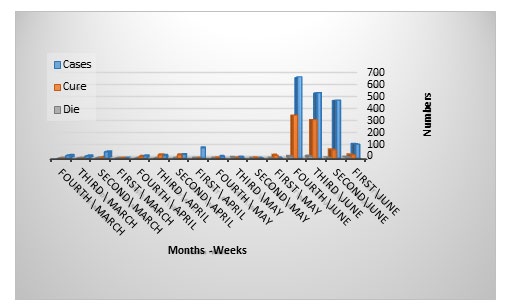 Figure 2: Total cases numbers of COVID-19 per weeks of months.