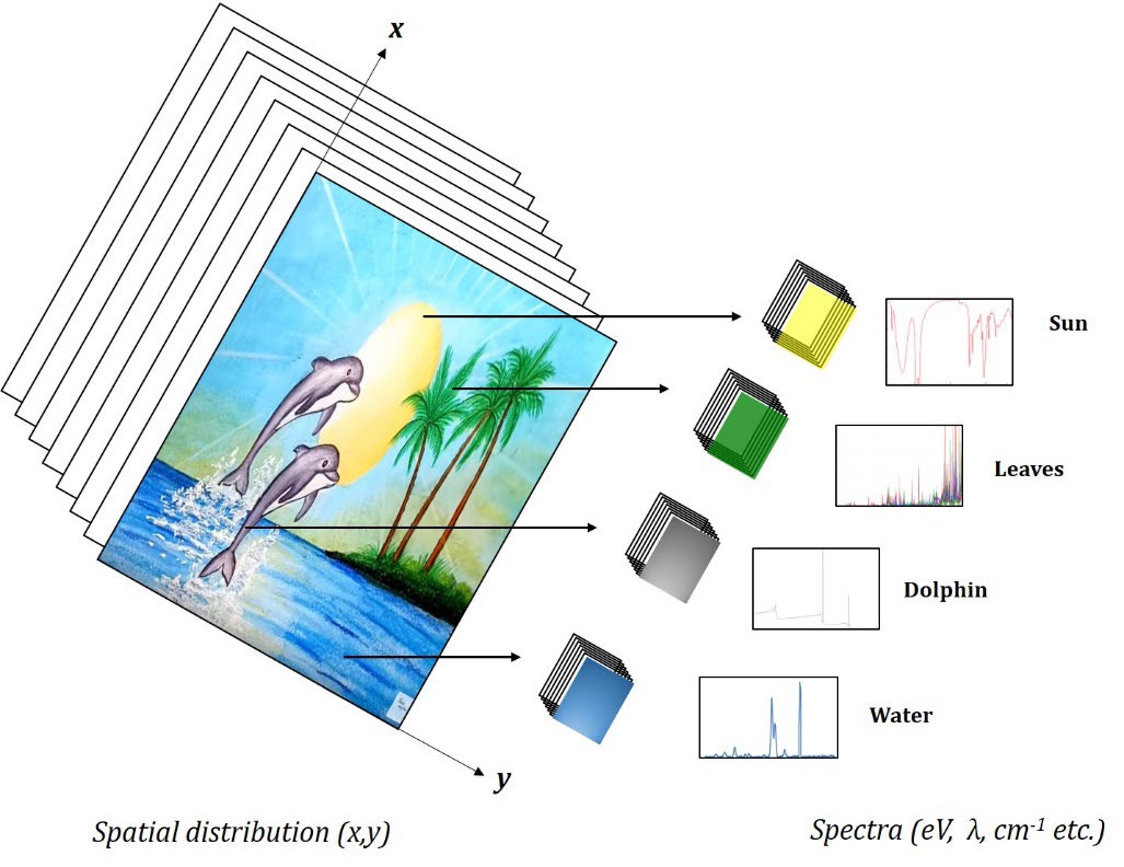 Figure 1: Concept of chemical imaging (adopted from [18]).