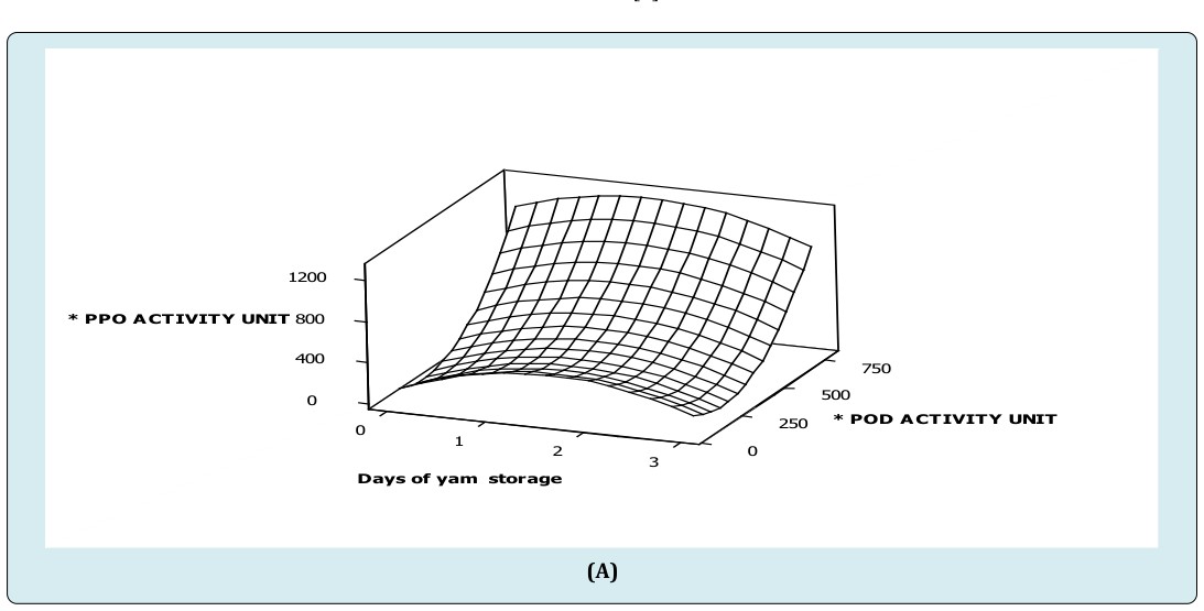 Figure 1: ** Surface plot of (A) specific polyphenol oxidase activity versus specific peroxidase activity, storage duration of white trifoliate yam stored at room temperature (B) specific peroxidase activity versus specific catalase activity, storage duration of white trifoliate yam stored at room temperature (C) specific polyphenol oxidase activity versus specific catalase activity, storage duration of white trifoliate yam stored at room temperature. *Specific activity of peroxidase (nmoles purpurogallin produced/mg protein/min) *Specific activity of polyphenol oxidase (nmoles purpurogallin produced/mg protein/min) *Specific activity of catalase (nmoles H2O2 consumed/mg protein/min)