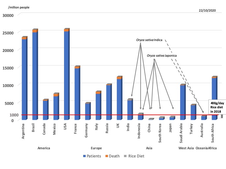 Figure 4: COVID-19 cases and deaths. COVID-19 cases (blue bars) and deaths (orange bars) /million population were presented among countries on 22nd, October, 2020. Rice diet consumption (g/day/person) (gray bars) among countries was integrated into COVID-19 cases and deaths. Rice contains Oryza sativa Japonica and Oryza sativa Indica. Right side gray bold line: the scale of 400g/day rice diet in 2018. Dotted lines: not staple diet of rice.