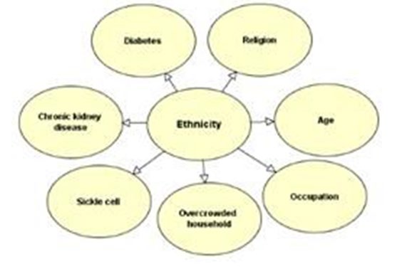 Figure 5: Note that some of these factors – short lifespan, overcrowded household, risky occupation-allow for interventions to make matters more equitable. Ethnicity is of course not a variable that can be changed.