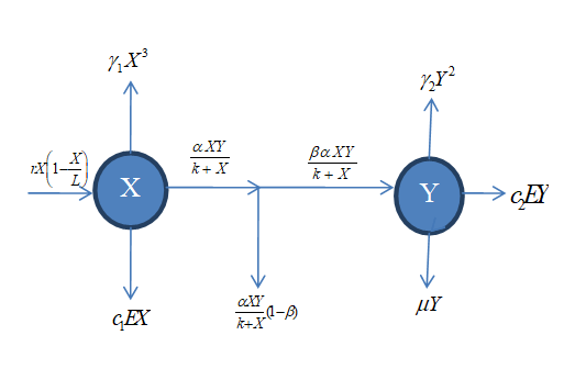 Figure 1: The model flow diagram for prey-predator interaction without control of toxic and harvesting.