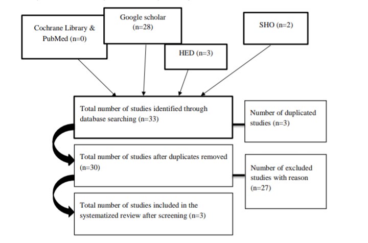 Figure 1: Flow chart of the study selection process.