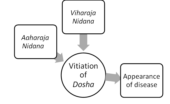 Figure 1: Causes of Disease according to Ayurveda.