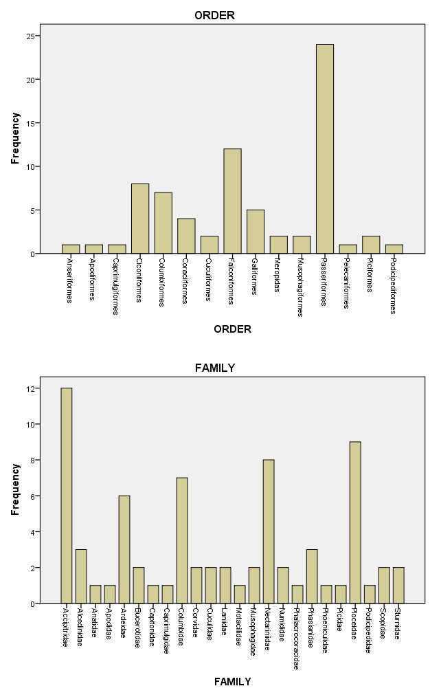 Figure 1: Passeriformes constituted the predominant group.