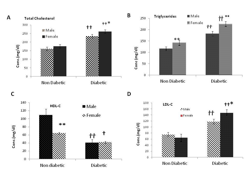 Figure 1: Evaluation of lipid profile in Diabetic and non- Diabetic male and female subjects. (A) Total Cholesterol (TC), (B) Triglycerides (TGs), (C) High-density lipoprotein cholesterol (HDL-C), (D) low-density lipoprotein- cholesterol (LDL-C). The results are expressed as the mean ± SEM. The results were analyzed by two-way ANOVA followed by LSD (least significant difference) test. The P-value < 0.05 was considered to be statistically significant. The significance of the difference is indicated by *P <0.05, **p<0.01, ***p<0.001 when non-diabetic and diabetic males were compared with respective diabetic and non- diabetic females. And †p<0.05, ††p<0.01, †††p<0.001 when the diabetic group was compared with respective non- diabetic controls.