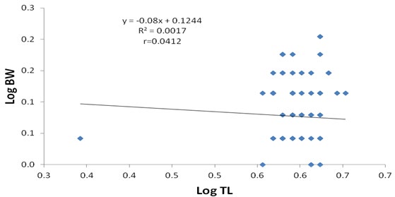 Figure 5: Logarithmic relationship between total length and body weight of the total population of P. americana.