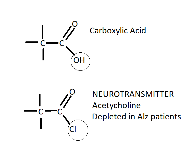 Figure 1: Functional group for carboxylic acid and acetylcholine.