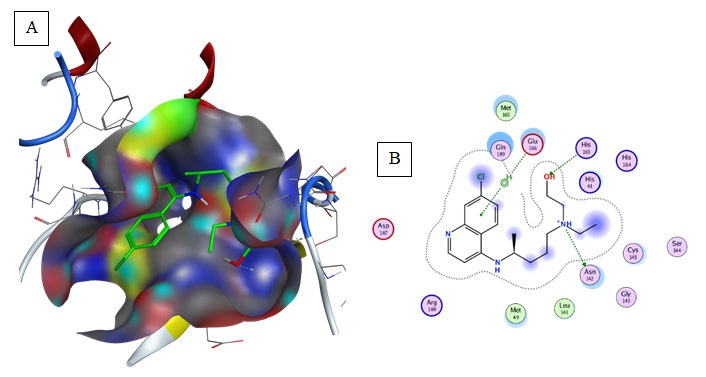 Figure 10: Representation of docked ligand-protein complex (A) animation pose Thymoquinone within the cavity of 6LU7, (B) 2D interaction of Thymoquinone with amino acid residues of Mpro COVID-19. (Generated using Free Version of Discovery Studio Visualizer).