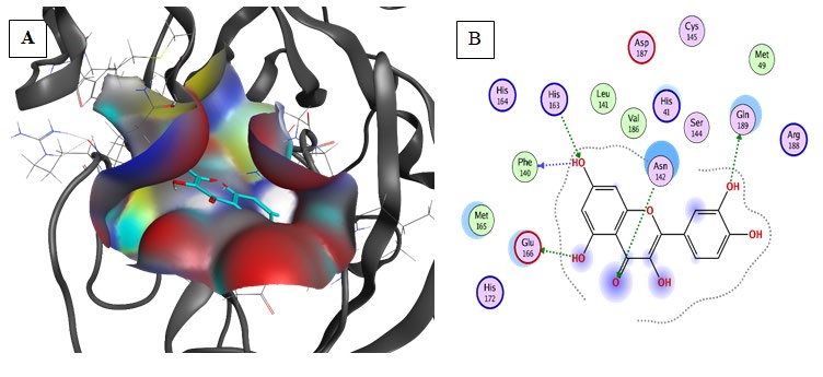 Figure 4: Furthermore, the aromatics groups of Hispidulin were found to be interacting with Met49 and Cys145 via aromatic interaction. Also, Hispidulin interacted with Glu166 and Phe104 via carbon-hydrogen bonds. Moreover, Hispidulin