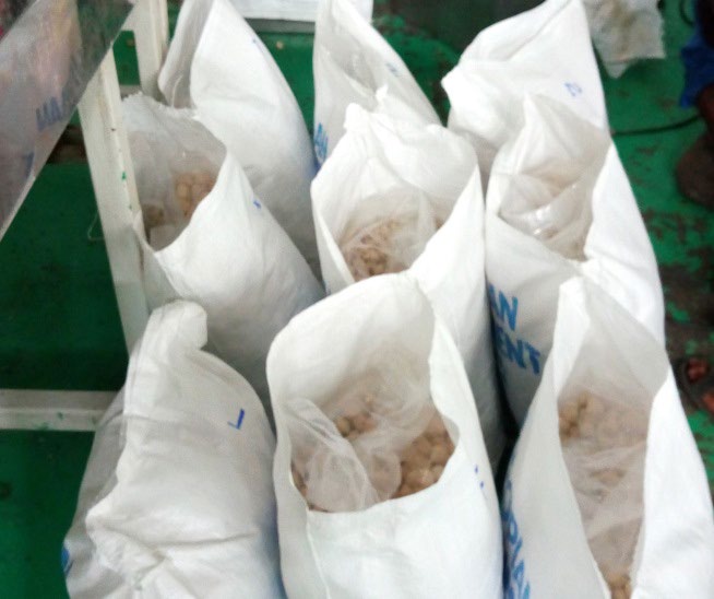 Figure 6: The production process at Guts agro industry in Hawassa.