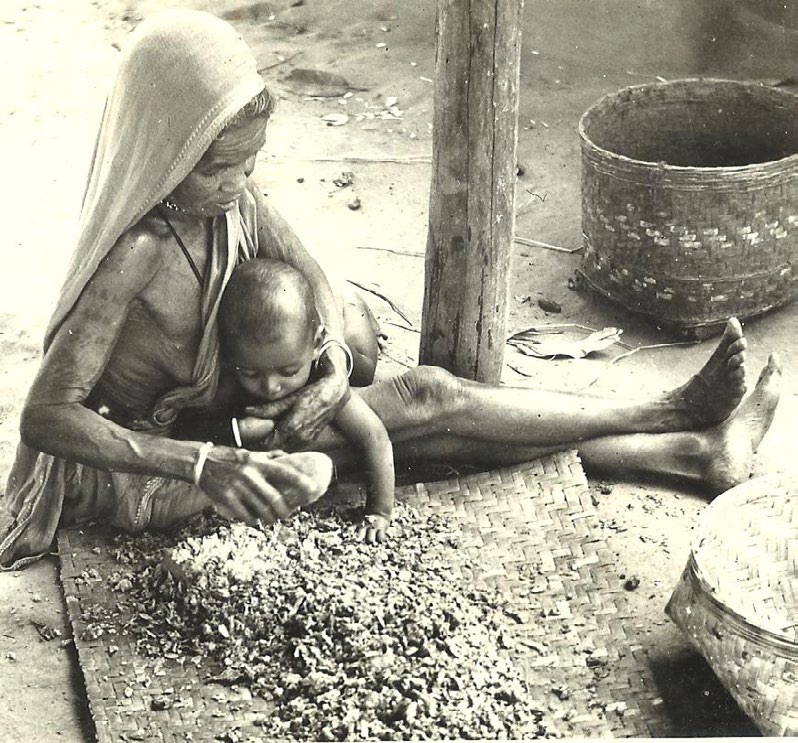 Figure 6: A tribal woman with her child sitting and breaking the dried rhizomes of Turmeric. They have little knowledge of its therapeutic uses but they use it as a culinary herb and cultivate it