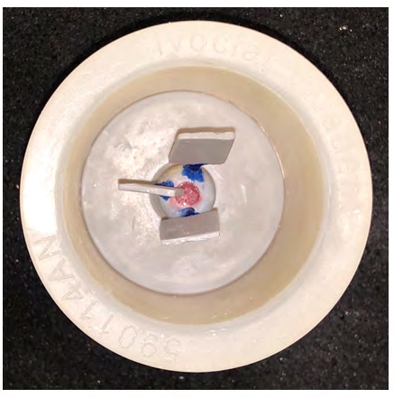 Figure 2: Three wax patterns attached to the silicon ring.