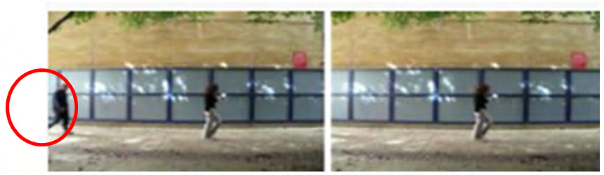 Figure 9: Cropping objects from video frames [15].