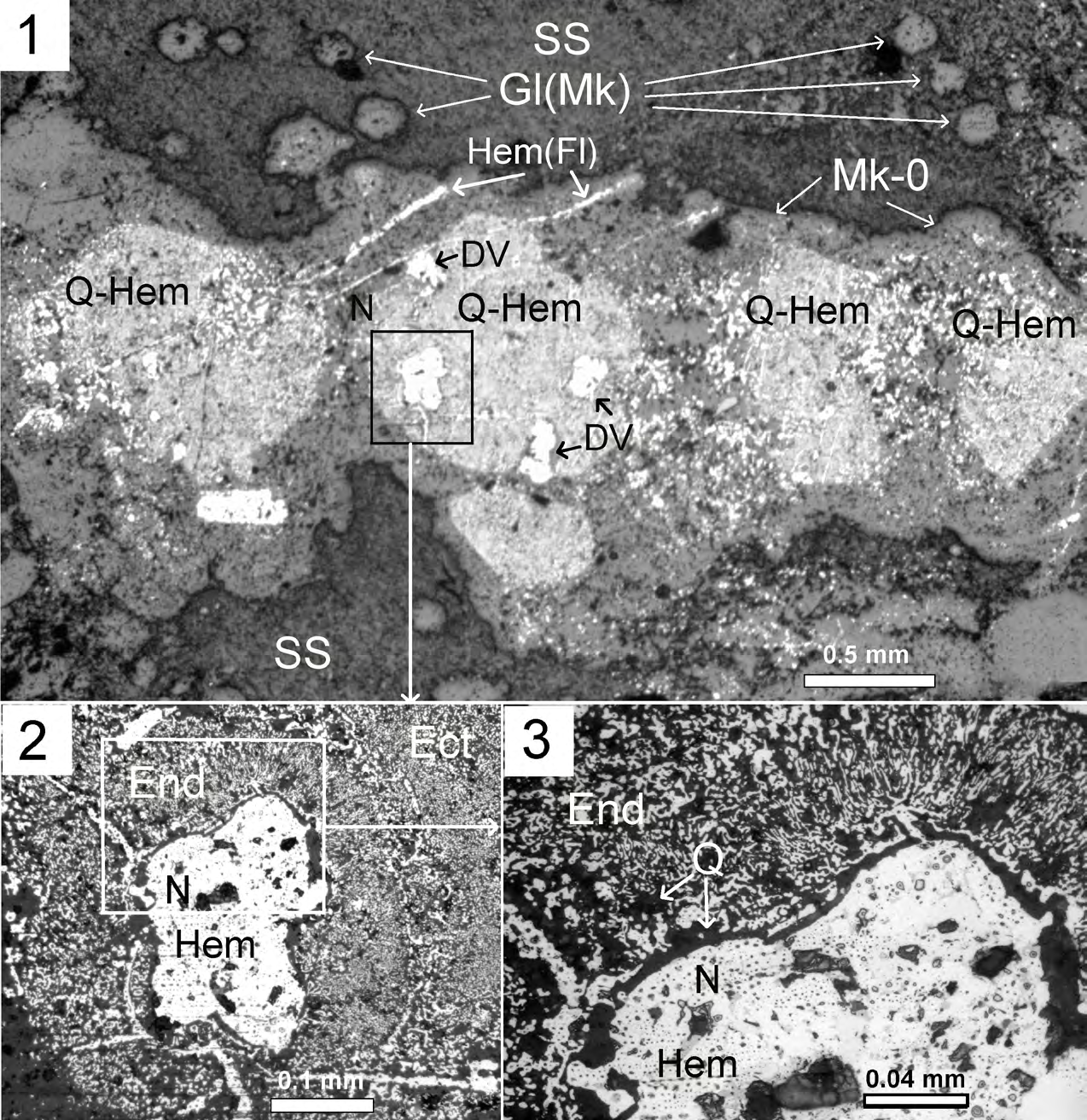 Figure 6: 1). The nucleus is surrounded by well- defined formations resembling cell endoplasm (End) and ectoplasm (Ect), replaced with quartz- hematite aggregate with symplectic texture (Figures 6.2; 6.3).