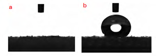 Figure 15: Carriers based on PNC that work as an antiviral agent [18].