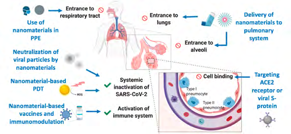Figure 7: Different ways to use PNC for therapy of Covid-19 [12].