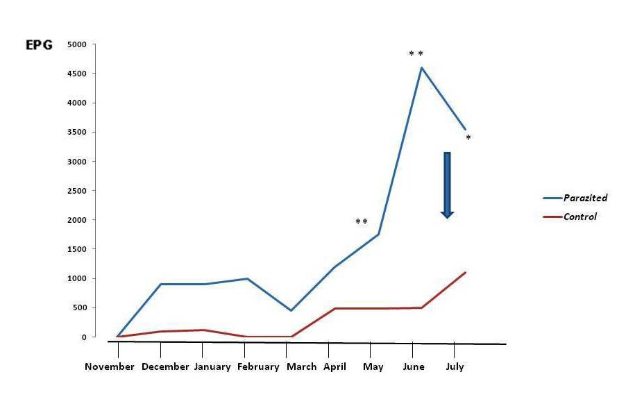 Figure 2: Evolution of parasitic loads of gastrointestinal nematodes in Merino ewes (*: p< 0.05; **: p< 0.01). : lambing.