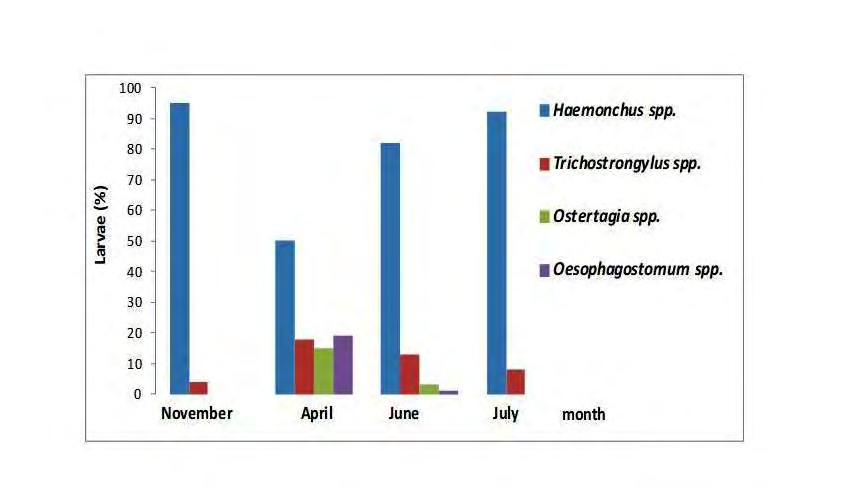 Figure 3: Gender of gastrointestinal nematodes present in larvae cultures during the study period.