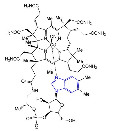 Figure 1: Vitamin B12.