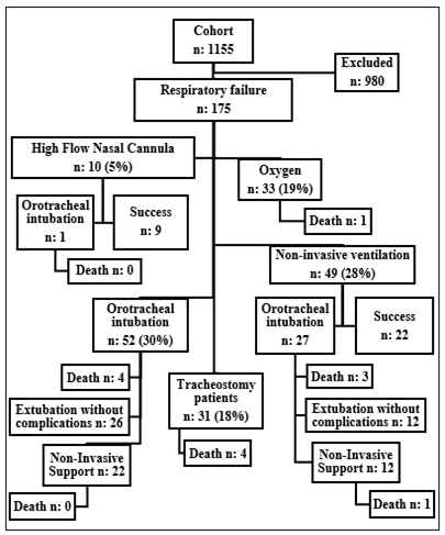 Figure 1: Flow diagram of patients in the studied sample.