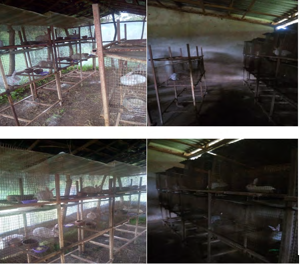 Figure 1: Cage housing environments of rabbits at SAU Farm (own photos).