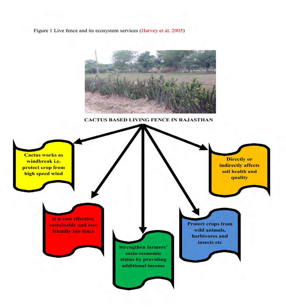 Figure 1: Live fence and its ecosystem services [18].